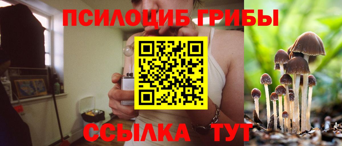 Псилоцибиновые грибы Magic Shrooms  Галлюциногенные грибы Psilocybine cubensis  Кондопога  Вход с VPN 